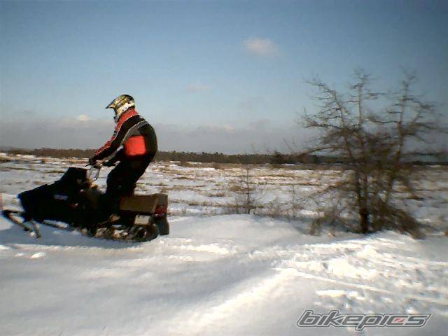 Photo 522990