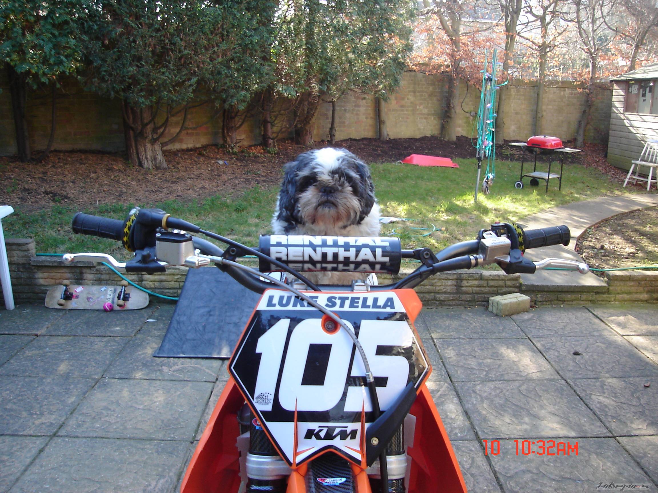 Bike Photo 523022