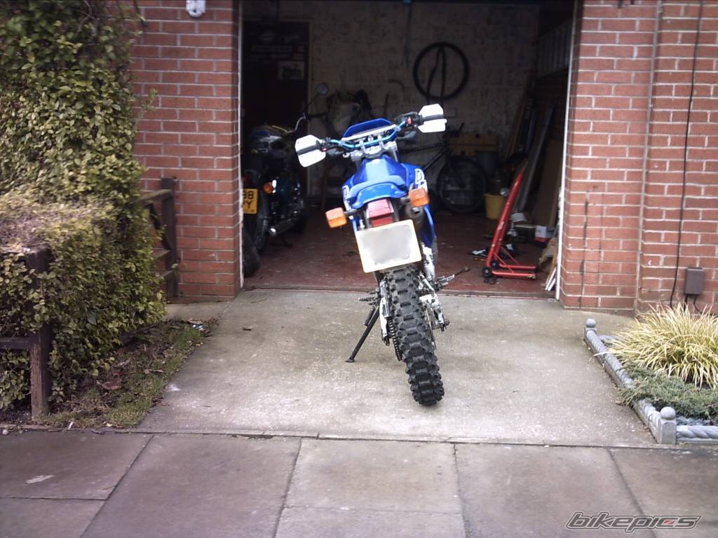 Photo 523195