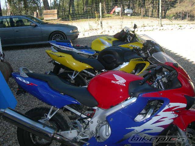 Photo 523289
