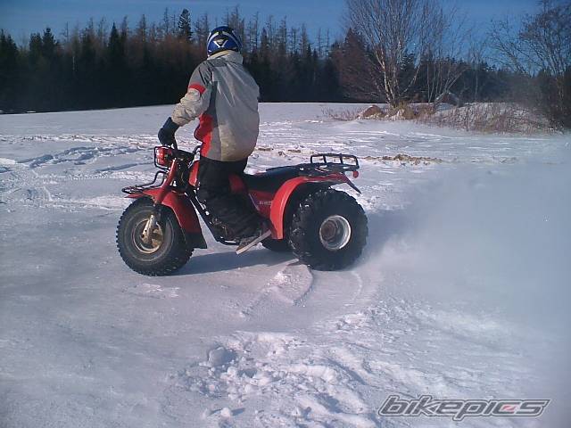 Photo 523310