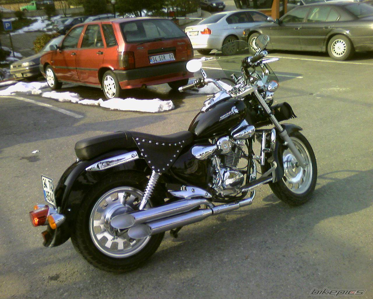 Photo 523382