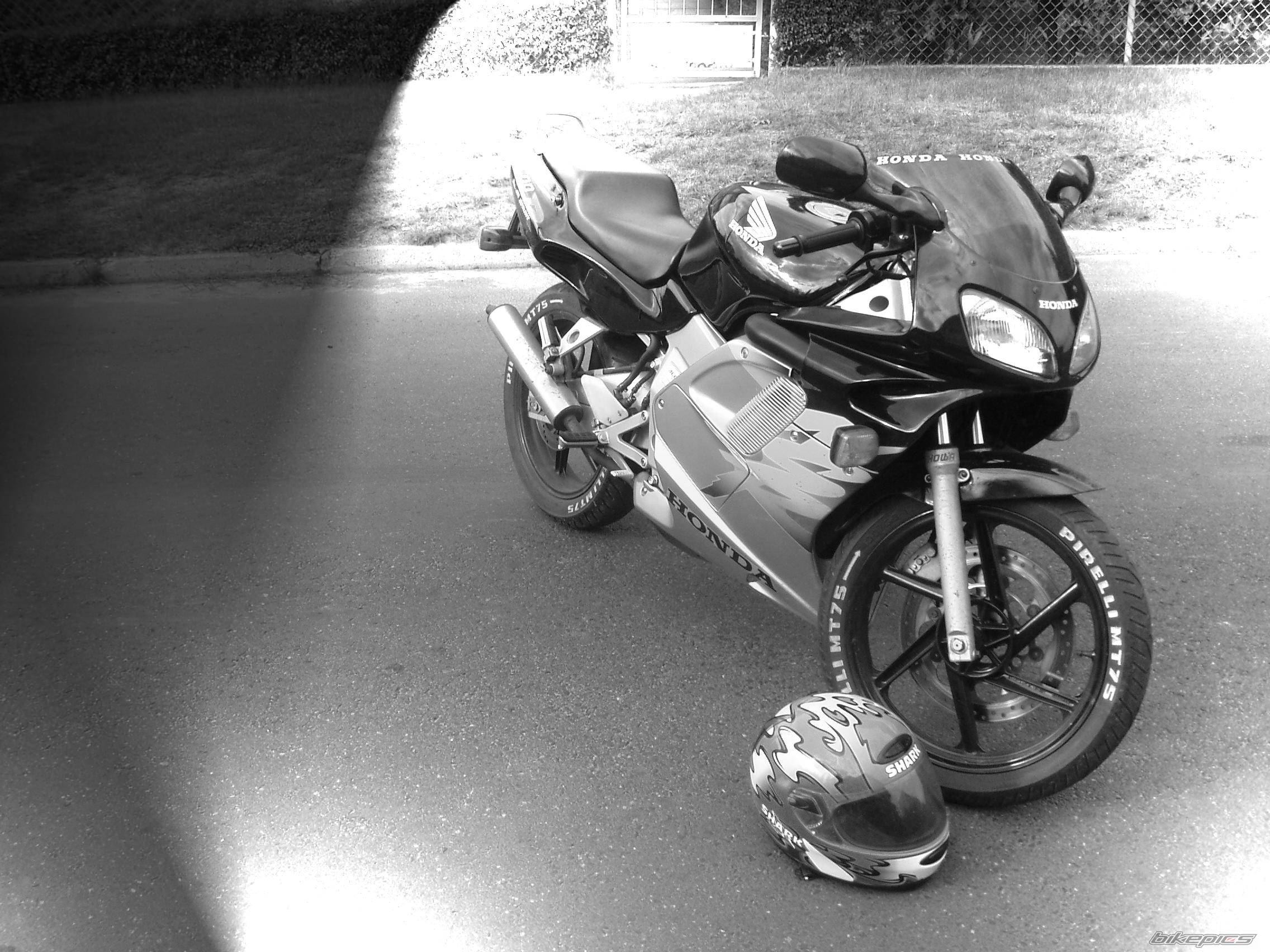 Photo 523681
