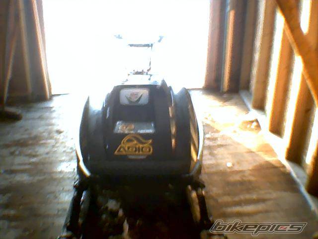 Photo 523699