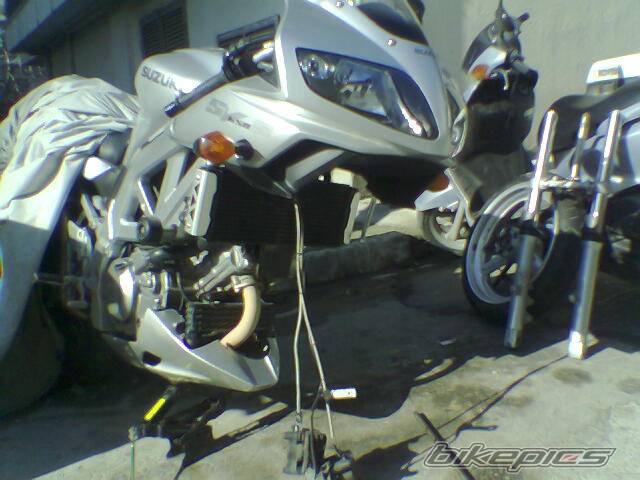 Photo 523869