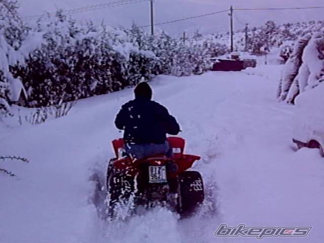 Photo 524019