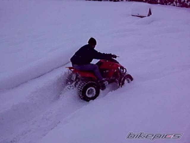 Photo 524021