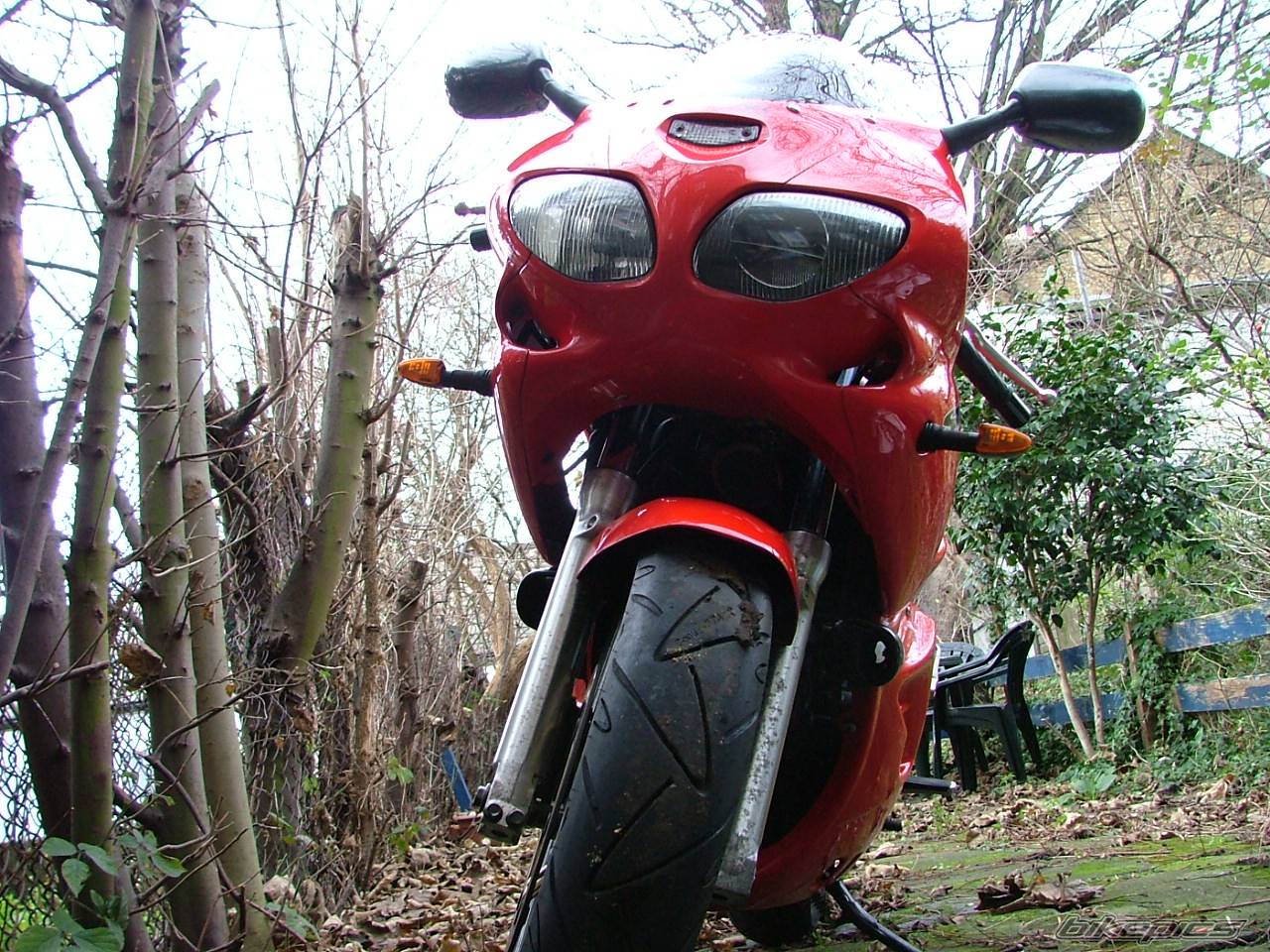 Bike Photo 524279