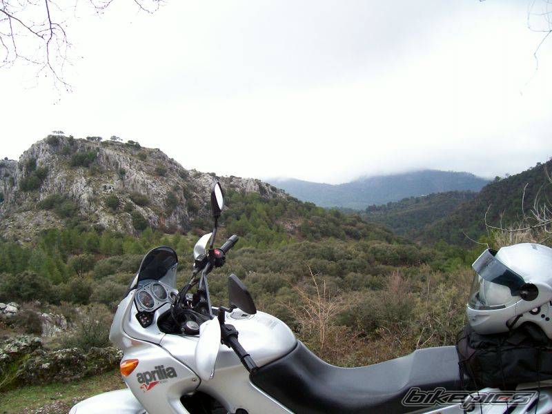 Bike Photo 524430