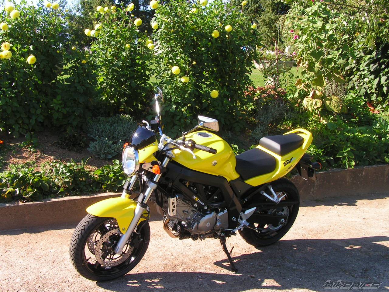 Bike Photo 524702