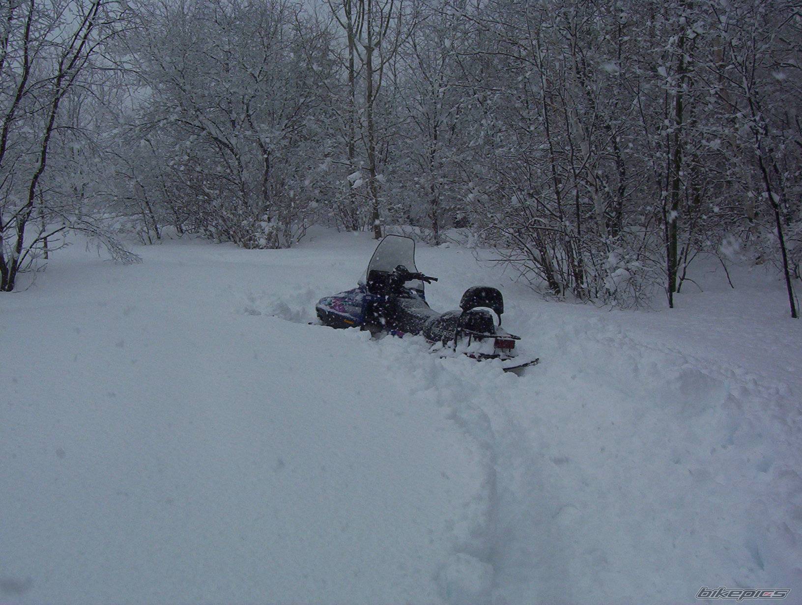 Bike Photo 524864