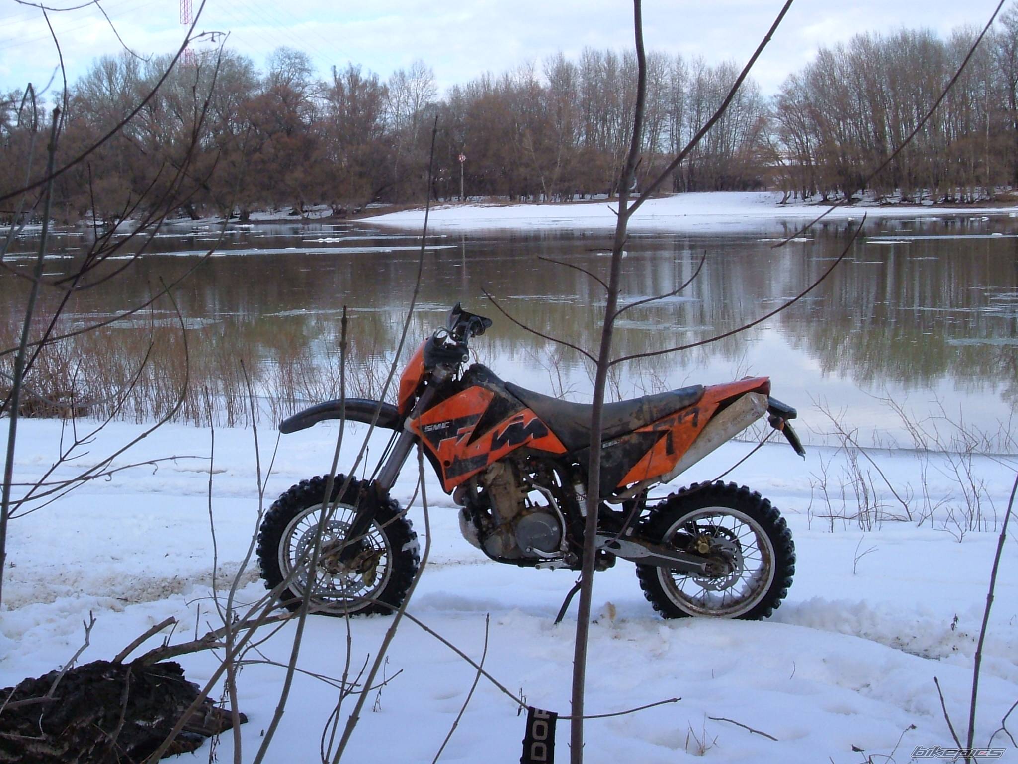 Photo 524892