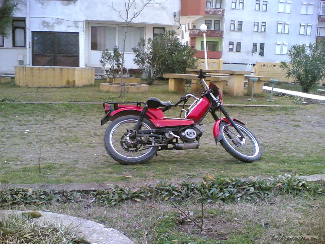 Photo 524934