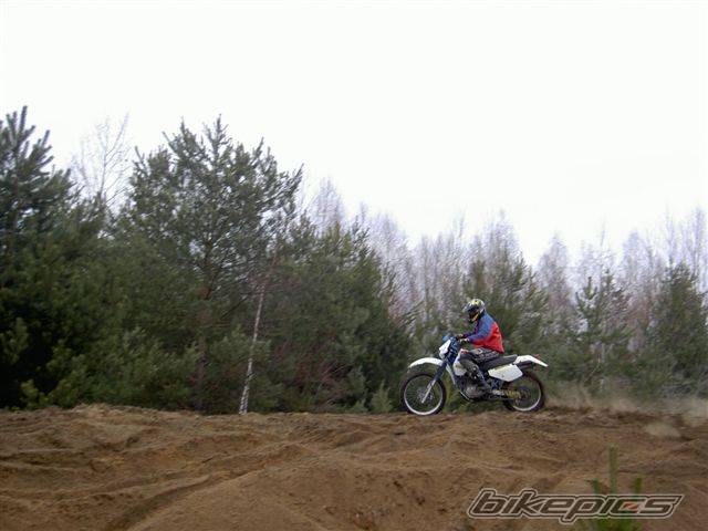 Photo 525079