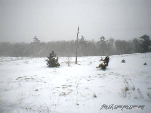Photo 525132