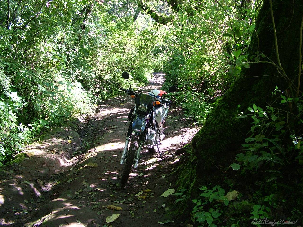 Bike Photo 525294