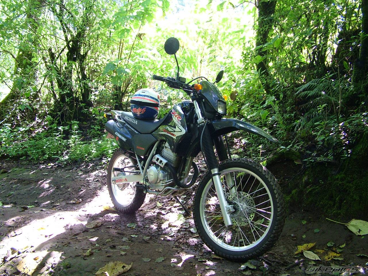 Bike Photo 525298