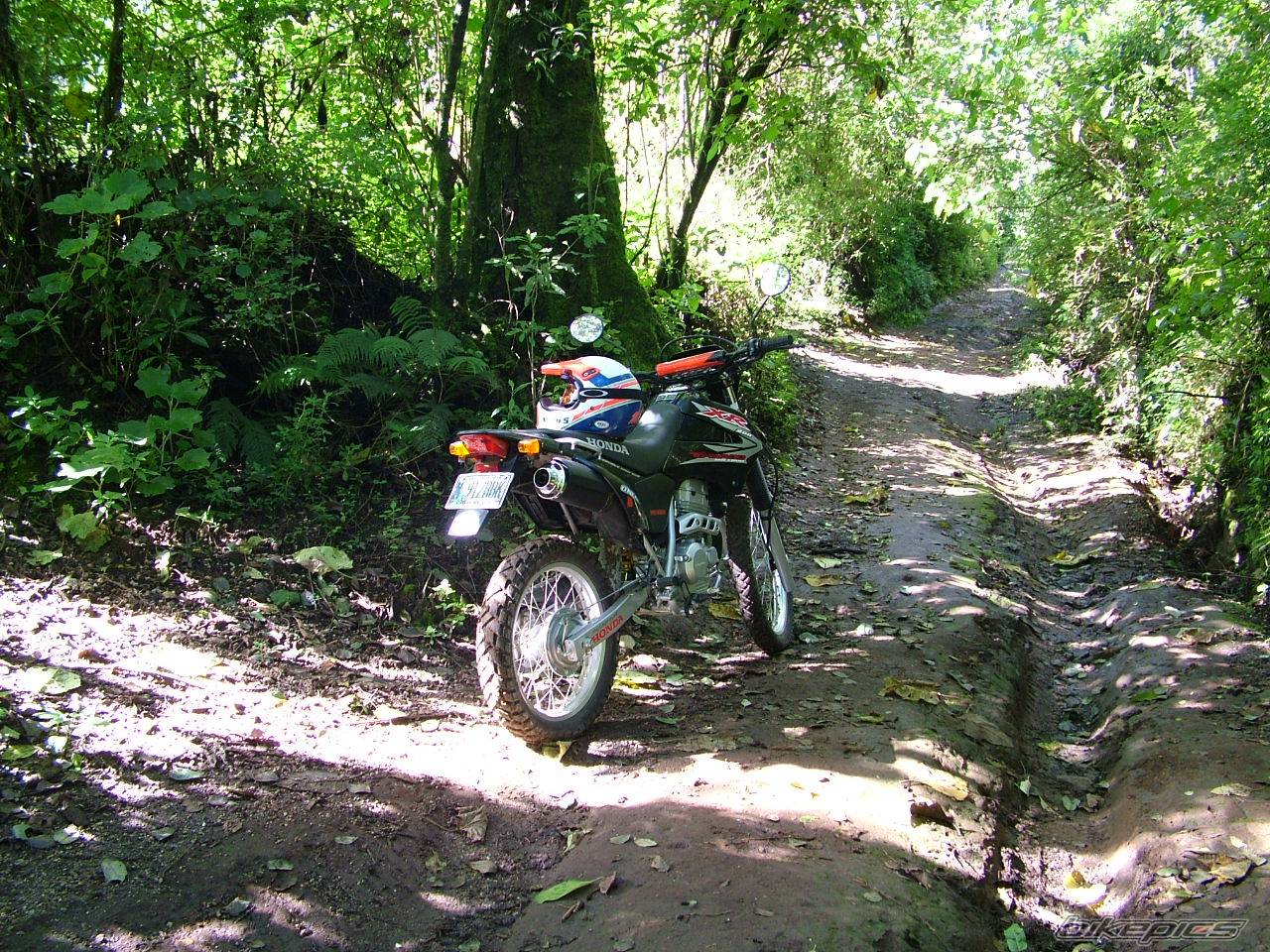 Bike Photo 525300