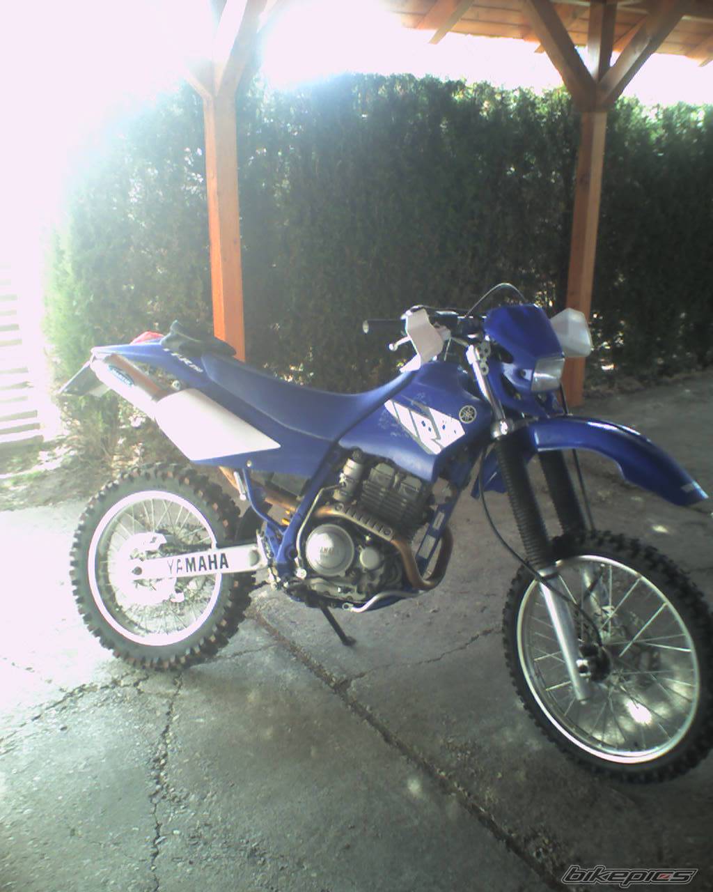 Bike Photo 525459