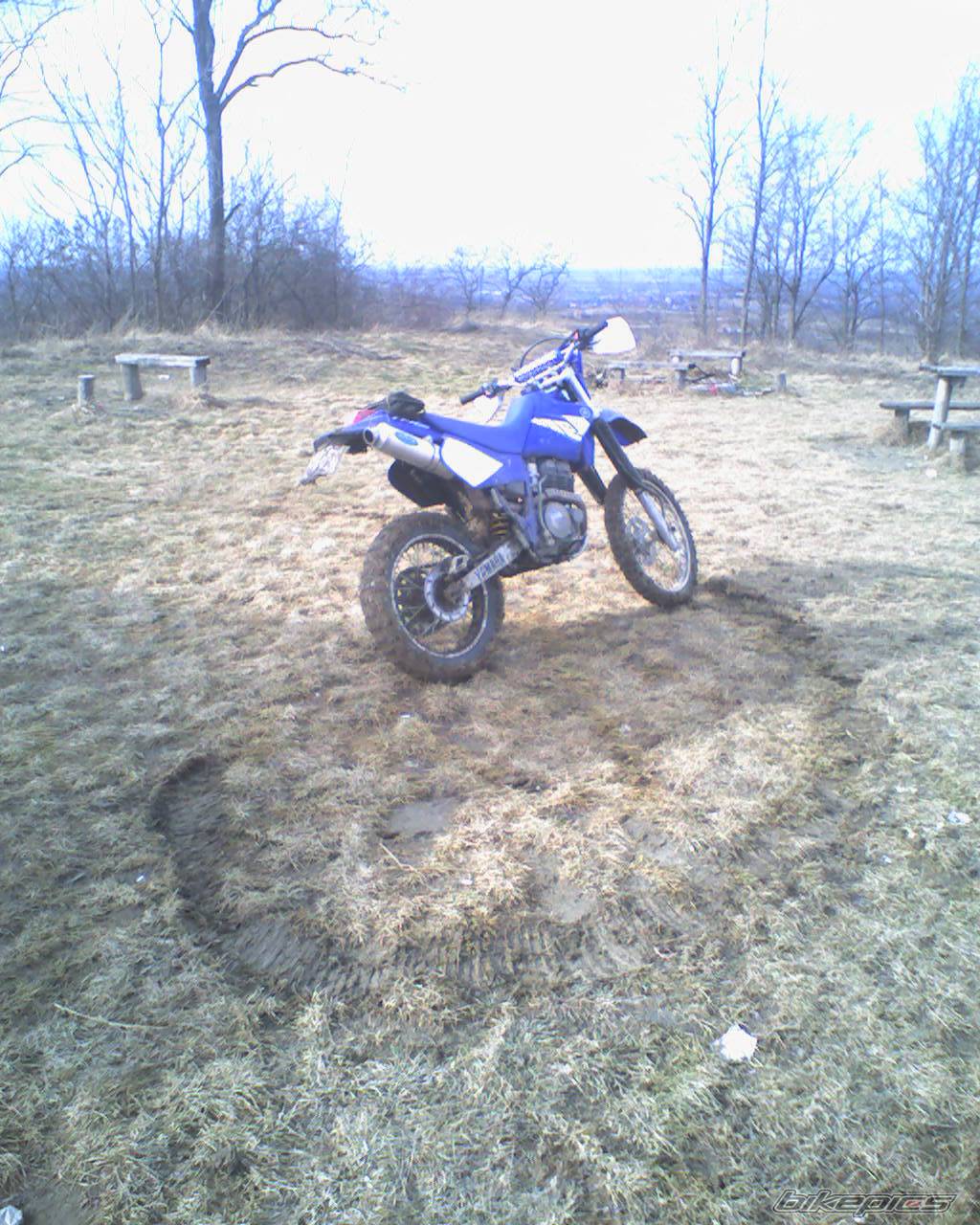 Bike Photo 525638