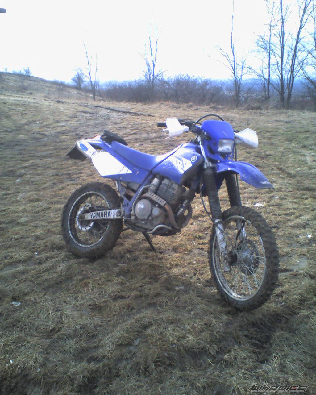 Bike Photo 525639