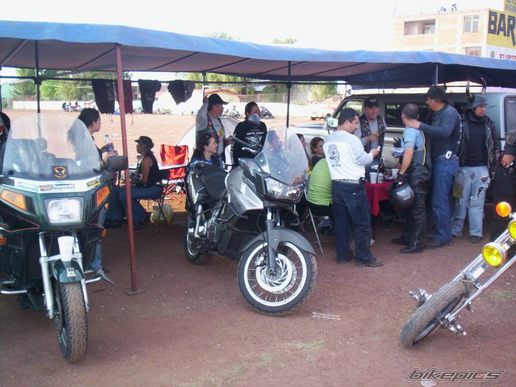 Photo 525652
