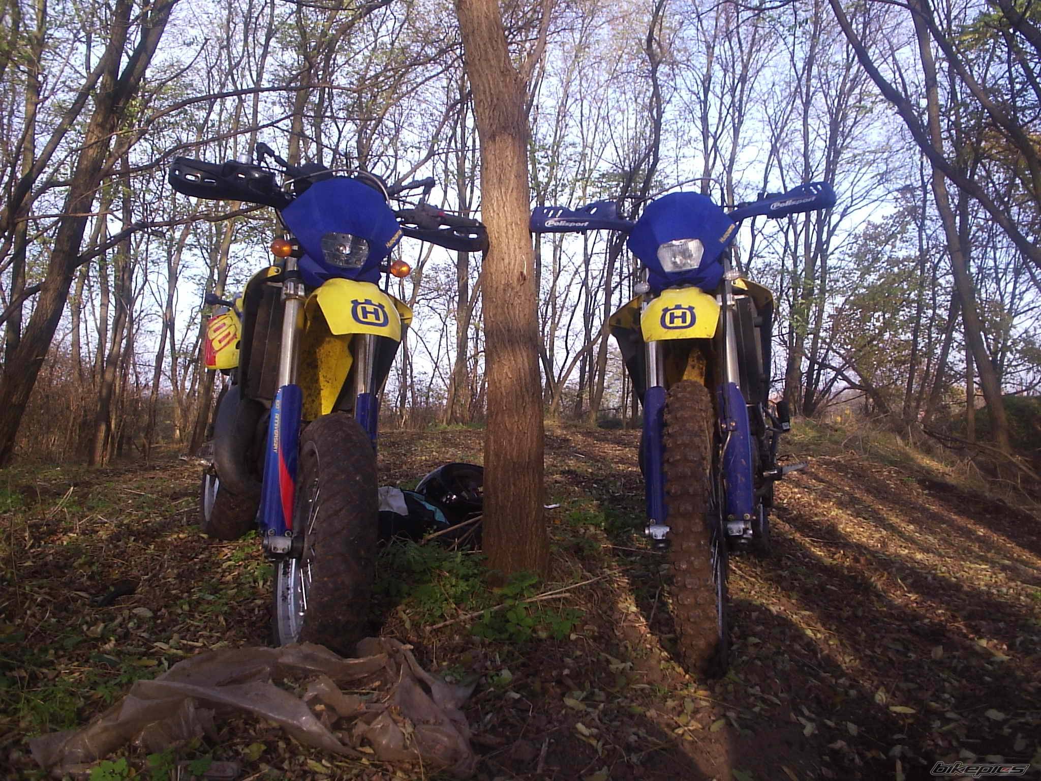 Bike Photo 525728