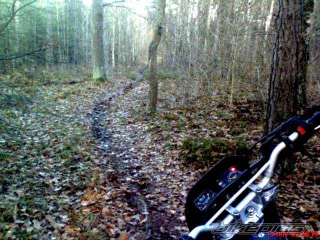 Bike Photo 525835