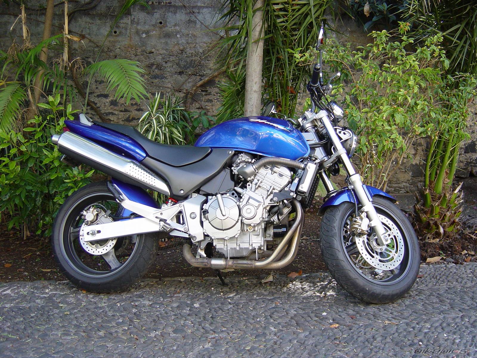 Bike Photo 52659