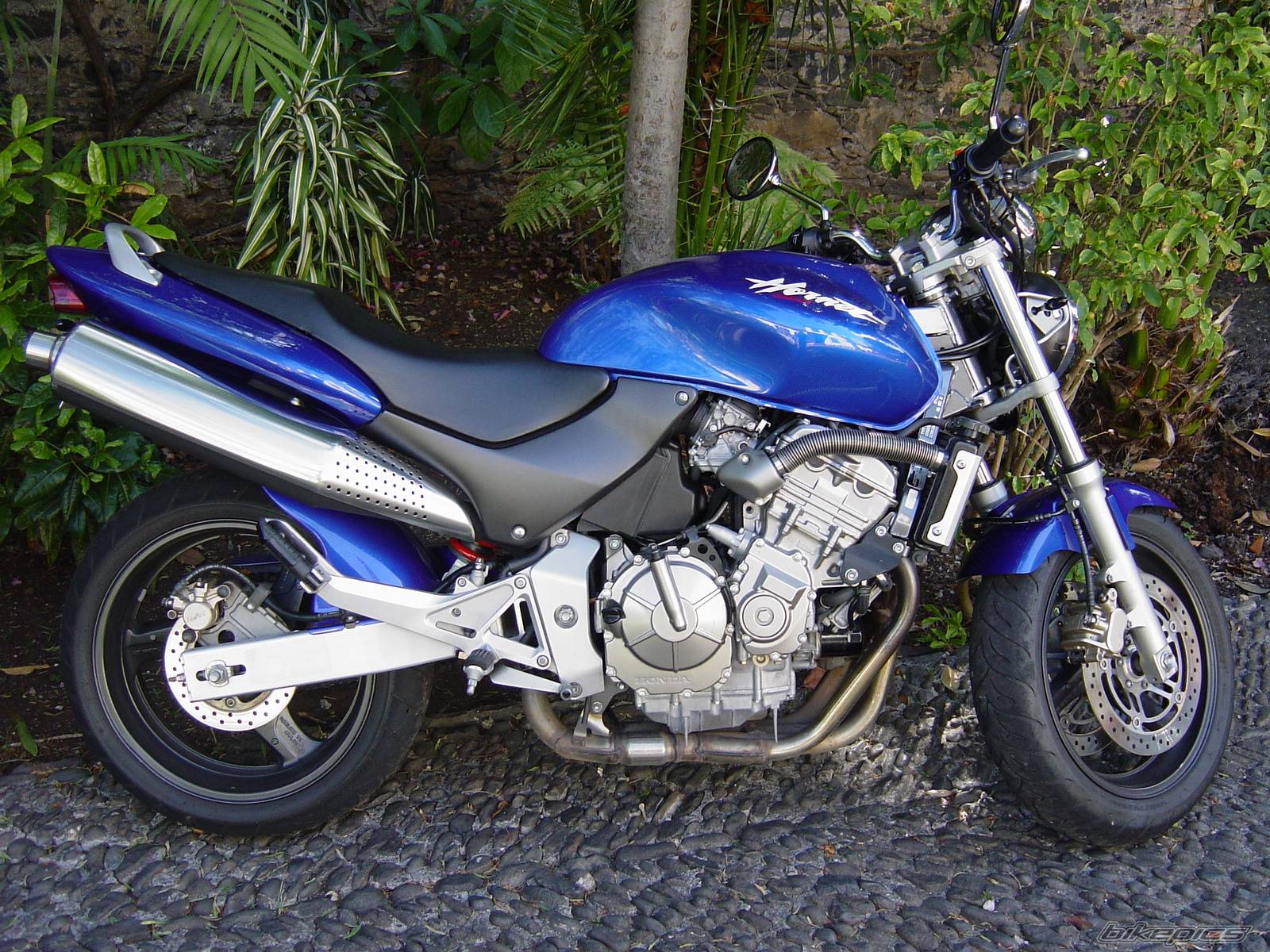 Bike Photo 52661