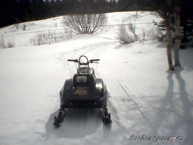 Photo 526699