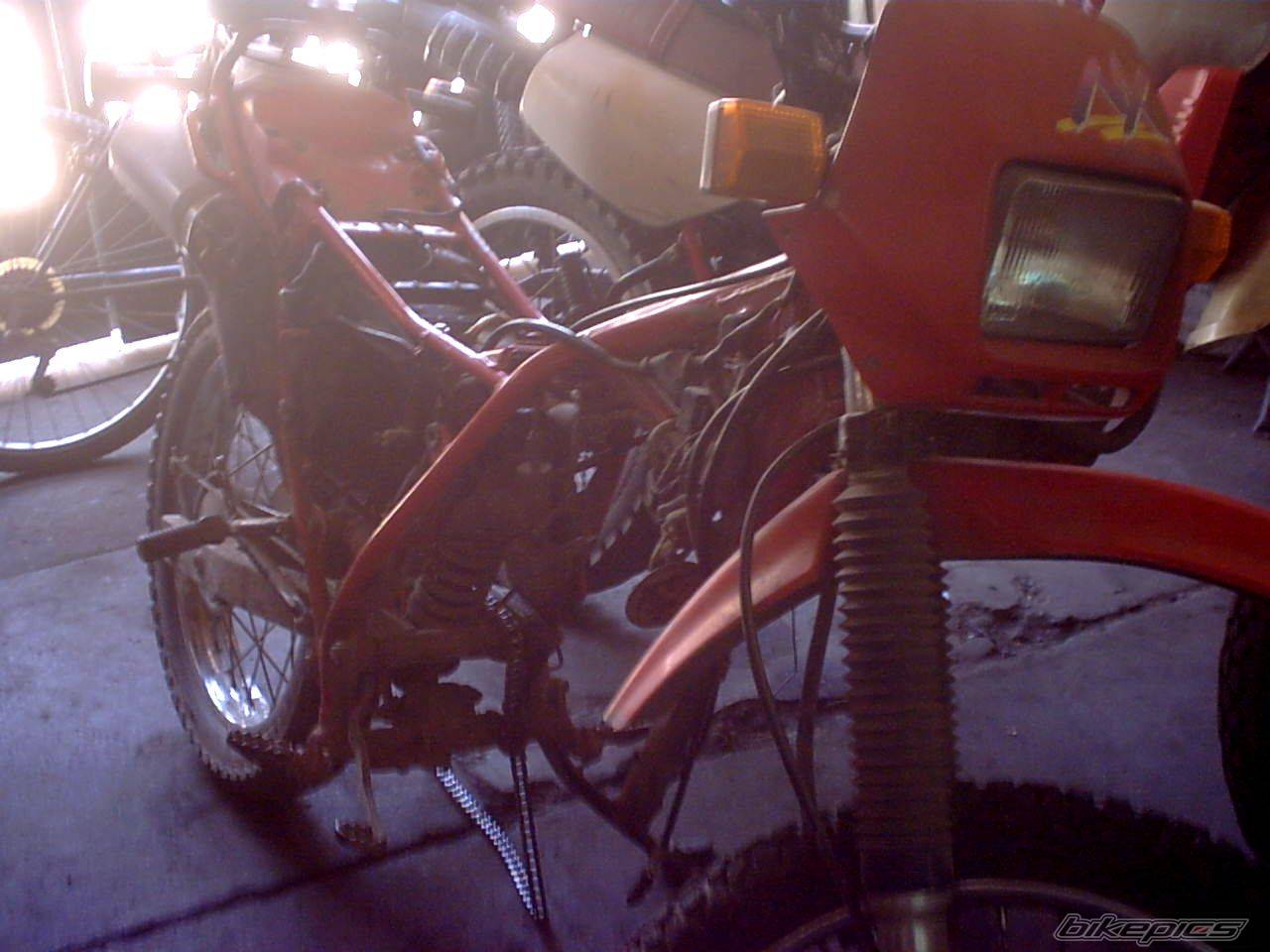 Photo 526812