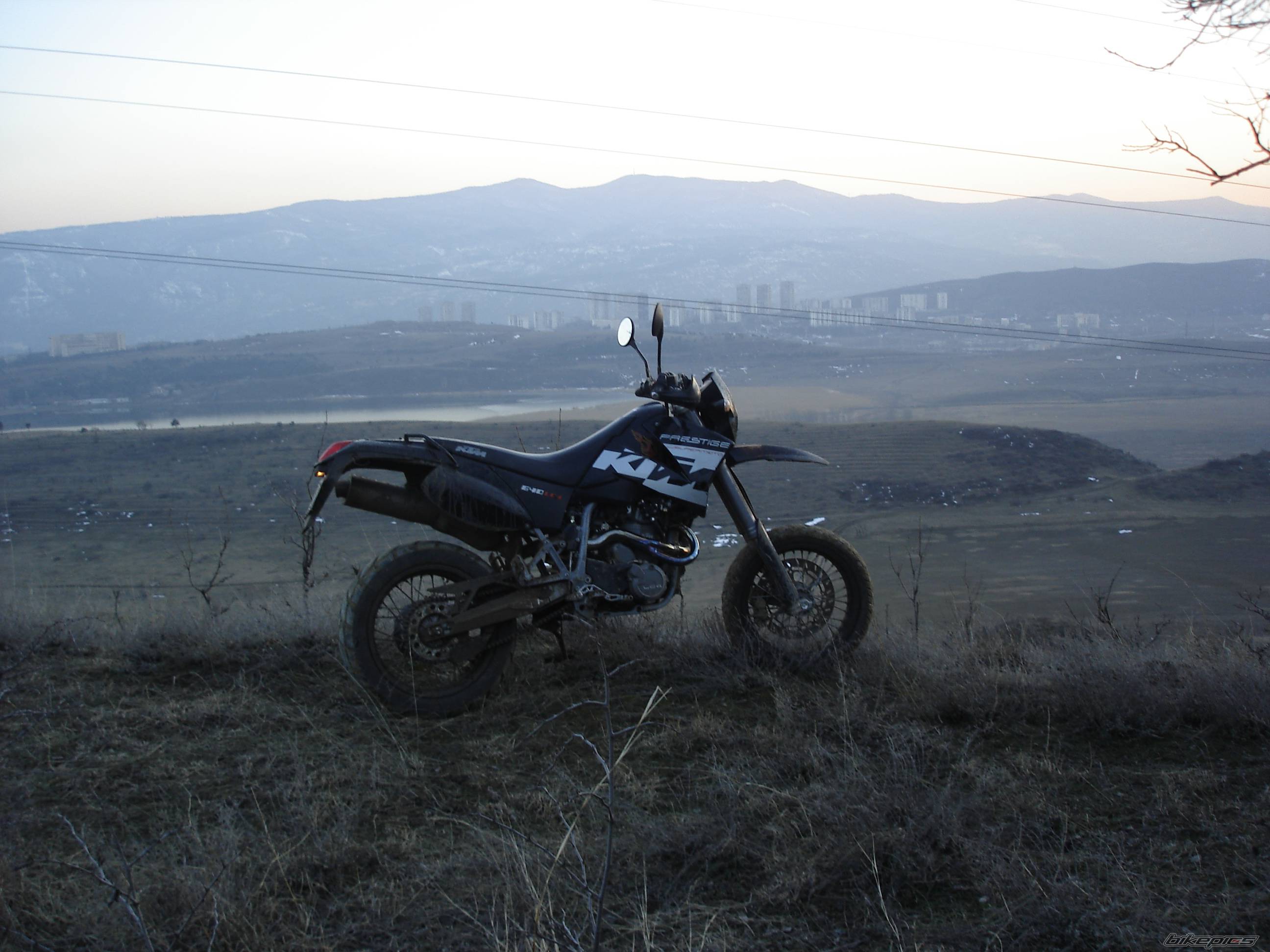 Photo 526931