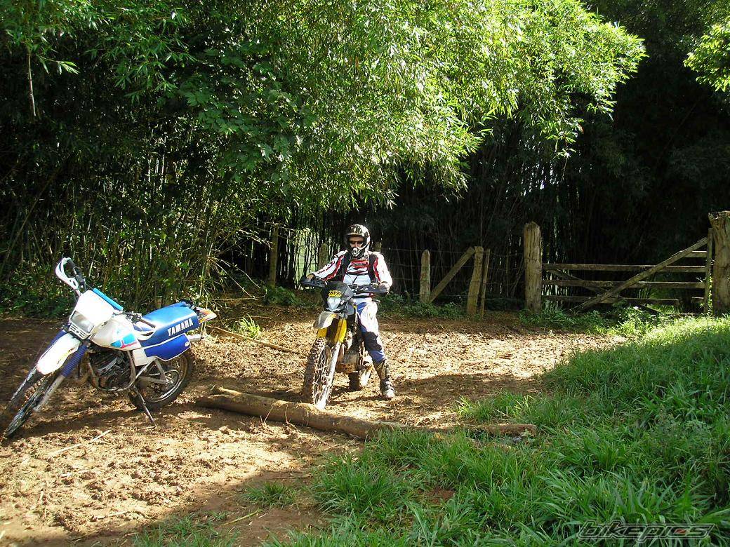 Bike Photo 527092
