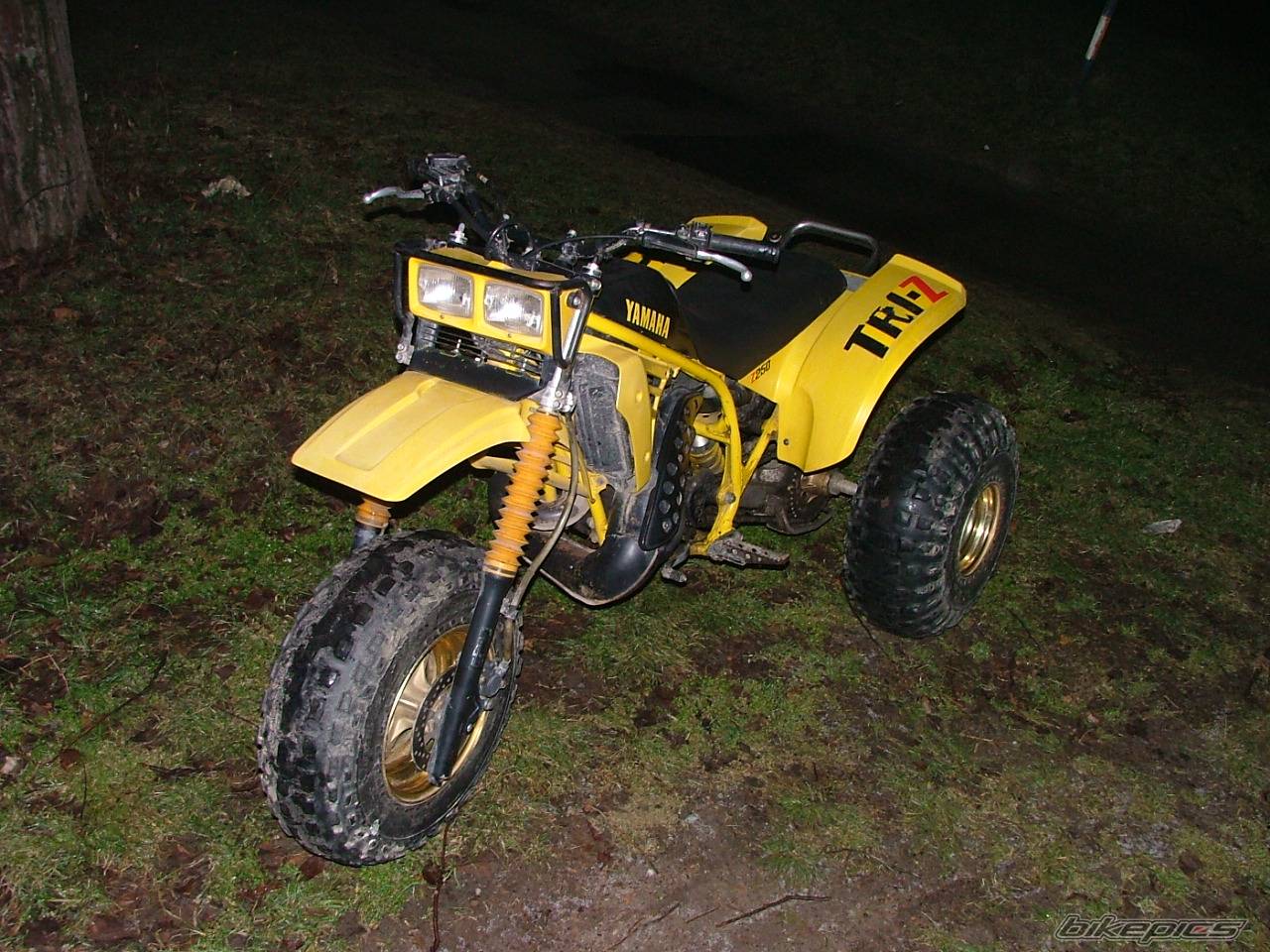 Photo 527270