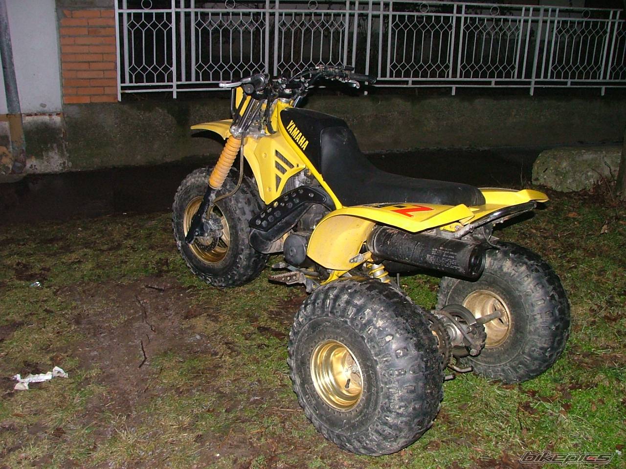 Photo 527272