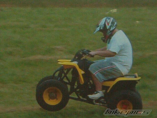 Photo 52732