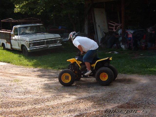 Photo 52733