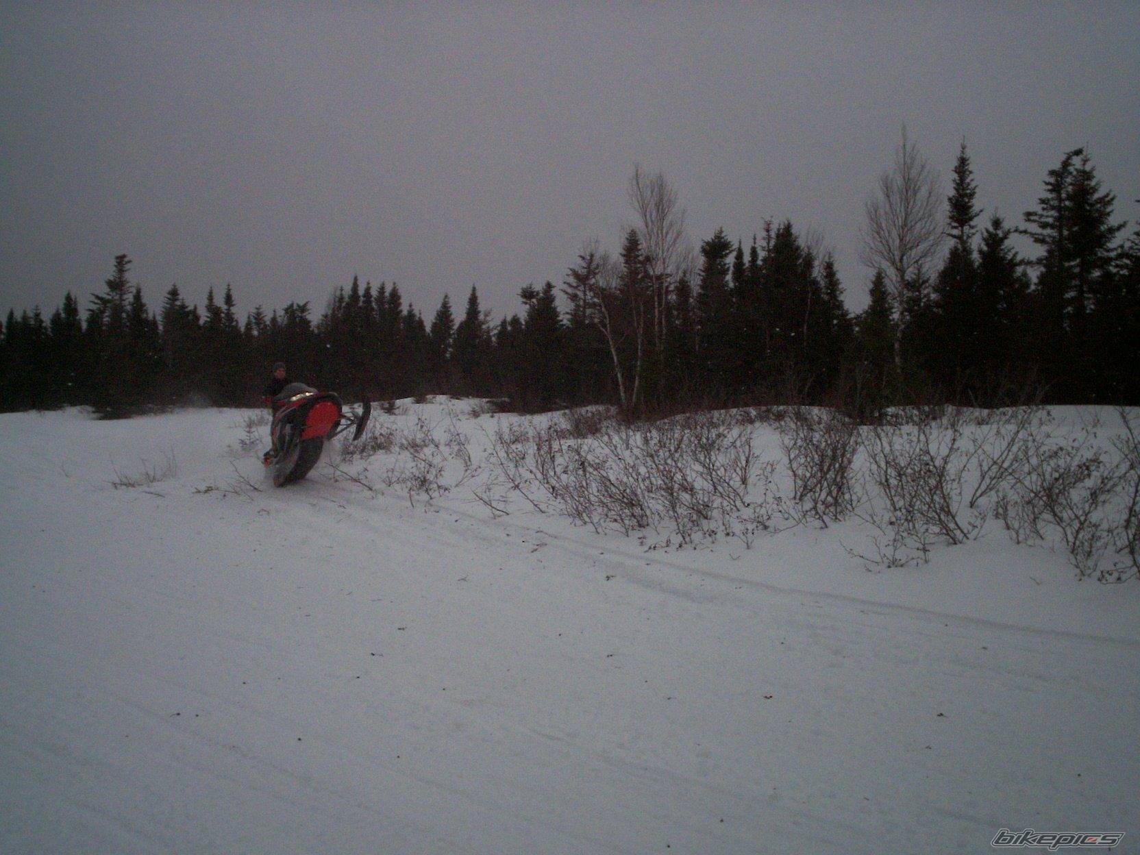 Photo 527513