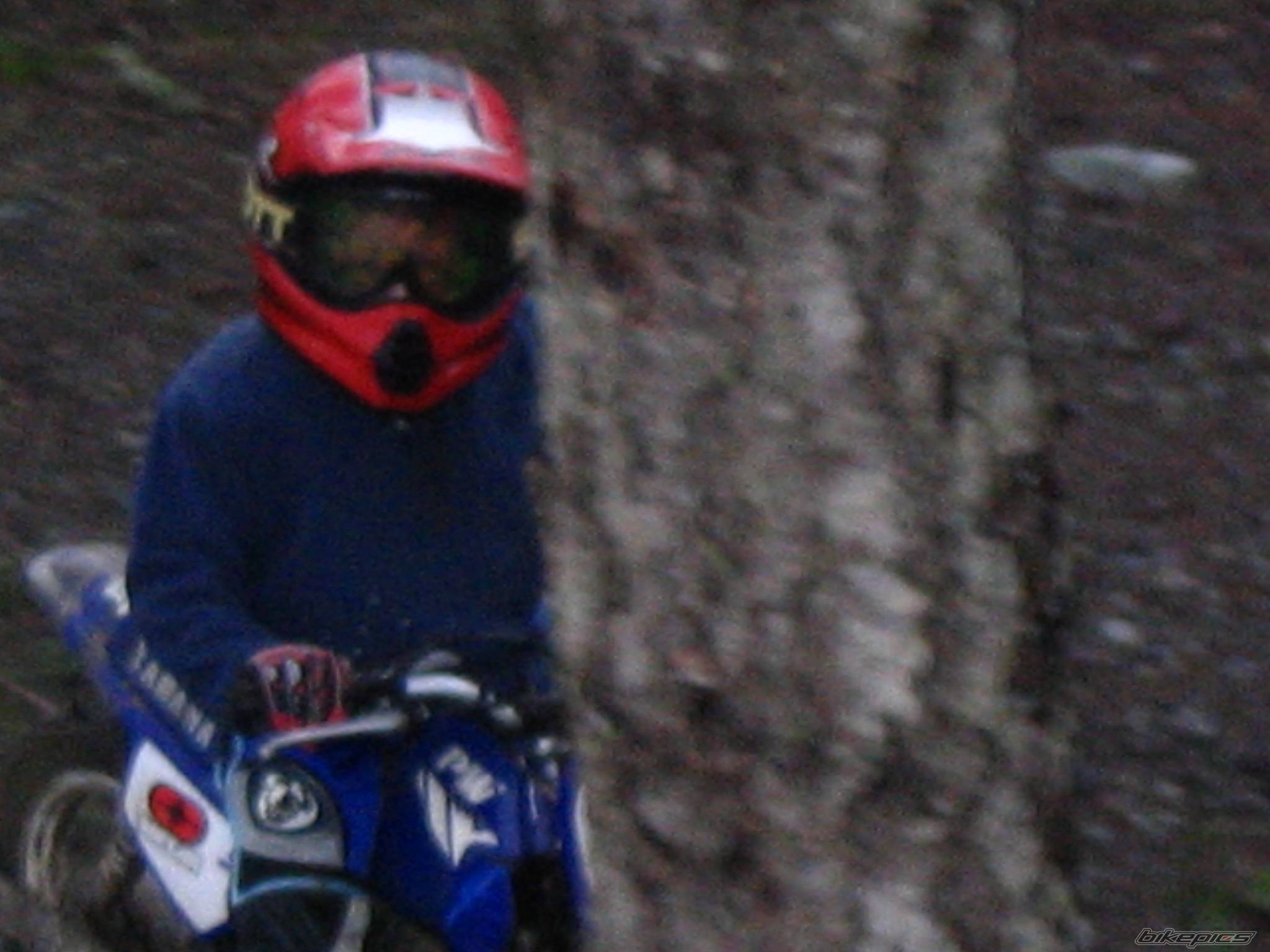 Photo 527637