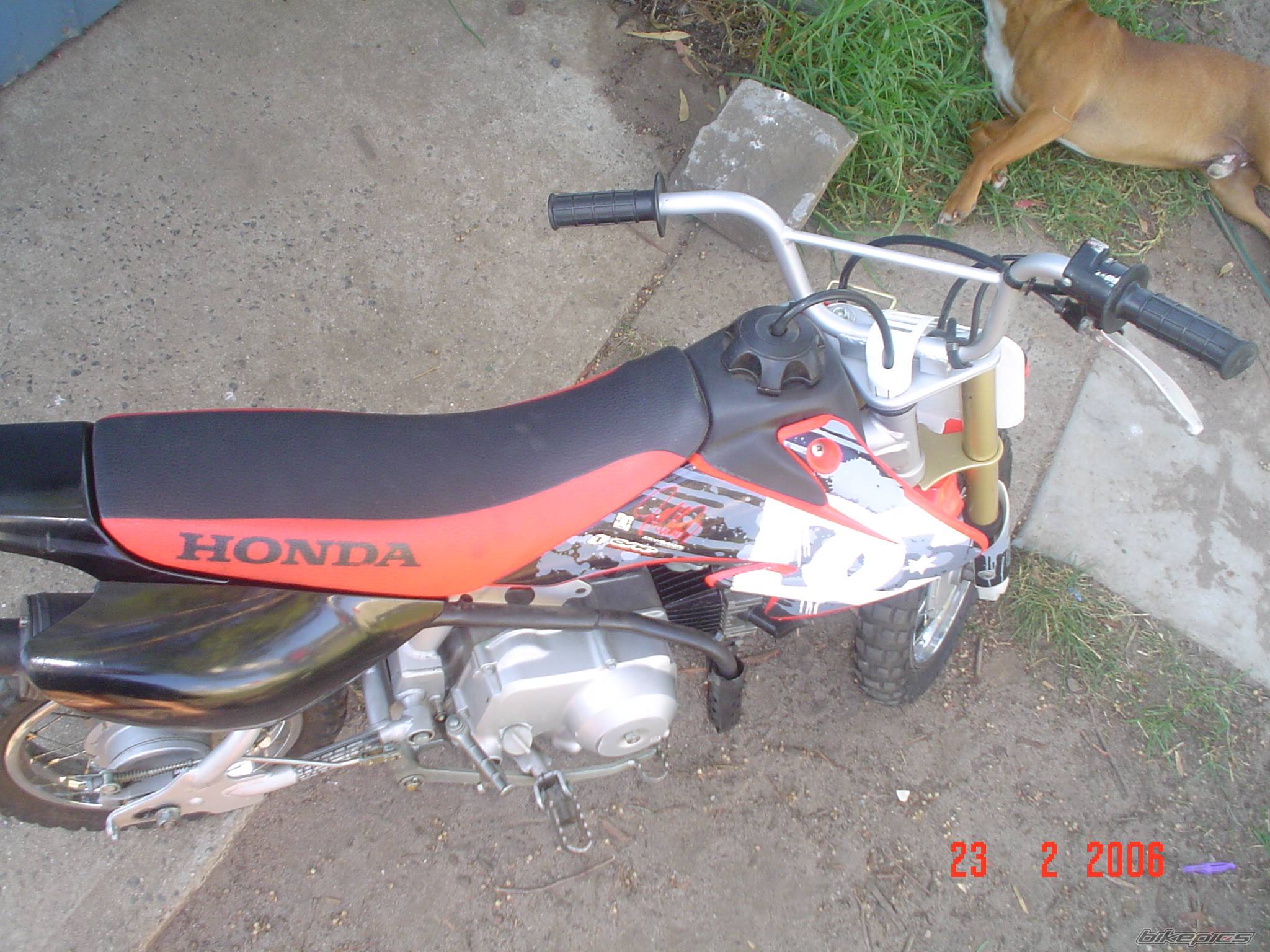 Photo 527681
