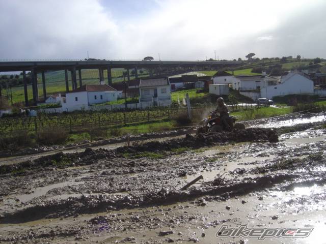 Photo 527777