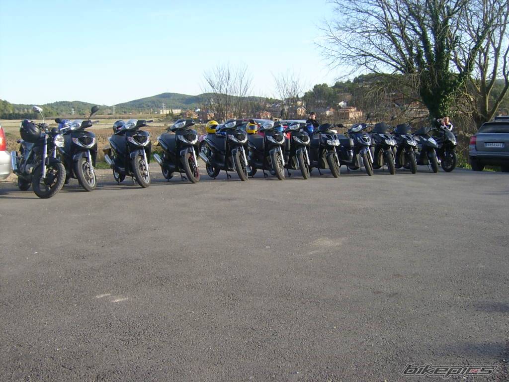 Photo 527893