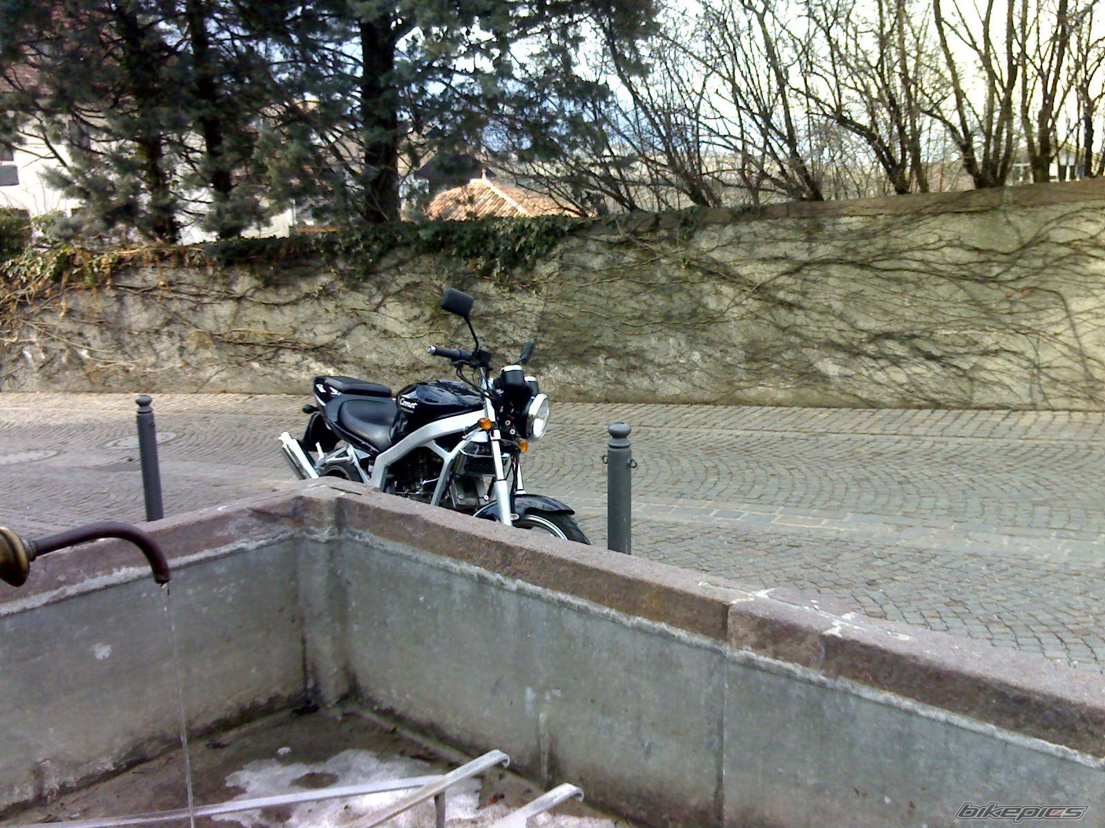 Photo 527931