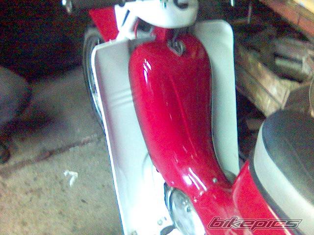 Photo 528063