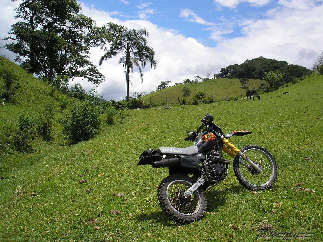 Bike Photo 528182