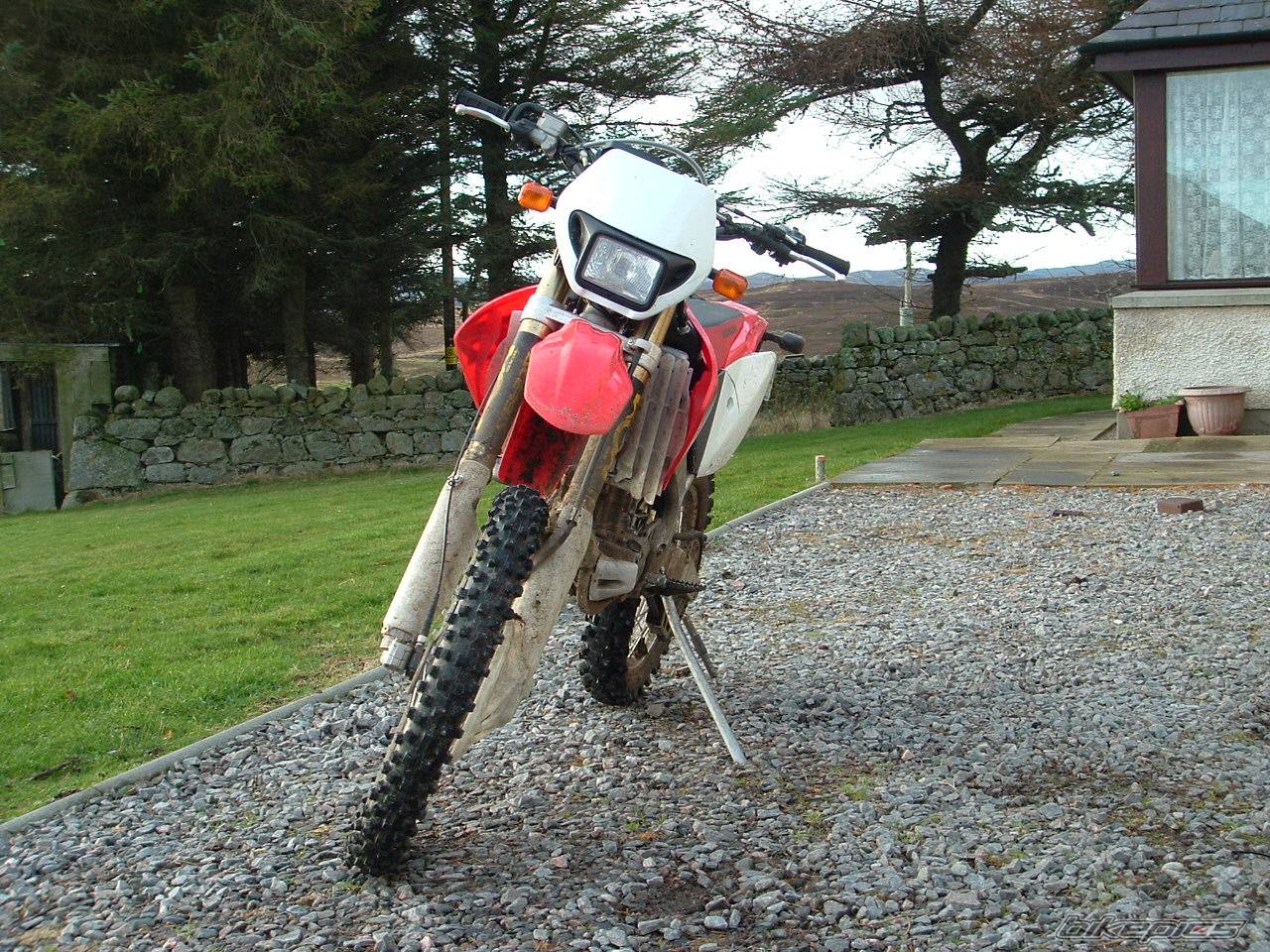 Bike Photo 528201