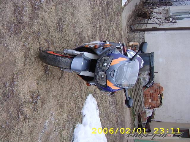 Photo 528254