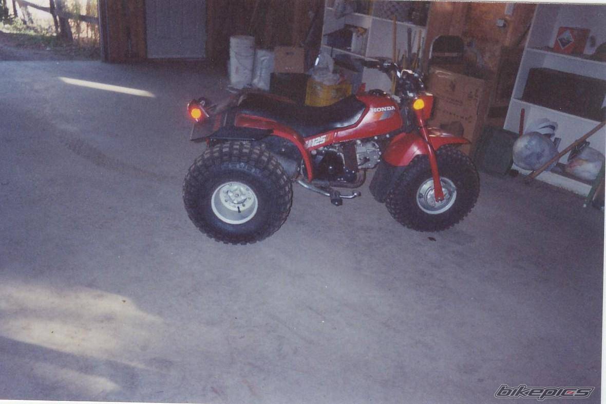 Bike Photo 528279