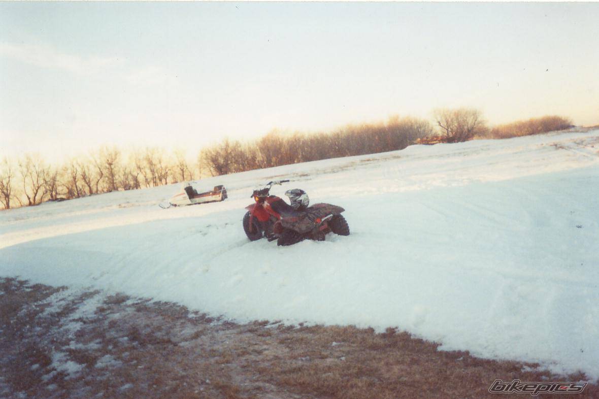 Photo 528280